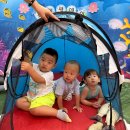 7월 스페셜데이 - 아기 상어와 바닷속 대모험 이미지