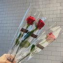 퓨얼리영플라워 - 서초구 서초중앙로8길 38-6 | 퓨얼리영플라워