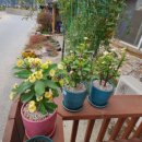 설곡리 마을회관 이미지