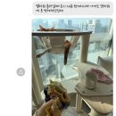 성고농장 | 1월 일상 2