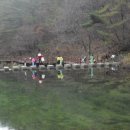 대전숲 어린이집 이미지