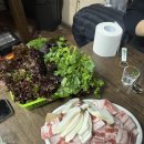 고향포차 티스토리