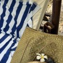 [나트랑] 깜란 더 아남 리조트 디럭스 트윈룸 2박 대만족 후기🌴