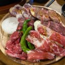 해달새 그리고 나무 이미지