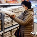 대한계란유통 이미지