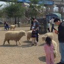 동구목장 이미지