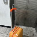 쪼쪼애견 | [제주] 25년 6월: 혼자 떠난 2박3일 제주 동쪽여행