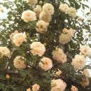 미담한방병원 이미지