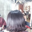 BELLACE(벨라스) 이미지