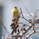 고향머리방 이미지