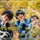 호돌이문구 - 대덕구 석봉로7번길 19 | 호돌이문구