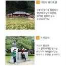 봉평별빛 이미지