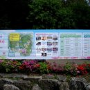 철쭉동산 이미지