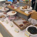 덕산로 | 일산 가볼만한곳 카페 몬타나 내돈내산 후기 (주차, 영업시간, 메뉴)