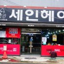 세인헤어 이미지