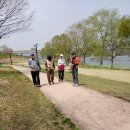 2,025년, 4월 17일(목),한달휴장후 처음 양평파크골프장 라운딩모습 이미지