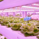 김영배농장 이미지