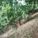 사천고등학교 이미지