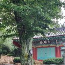 진도하루 이미지