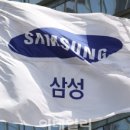 실로모아 네이버블로그