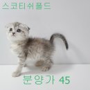 남편보다 낫네요~ 이미지