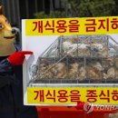 26meat 이미지