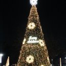 동탄센트럴파크 게이트볼장 이미지