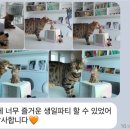 프프프 스토어 이미지