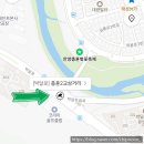 석수초등학교 | 경기도 안양 충훈 벚꽃길 벚꽃 개화 상태 혼잡도 축제 전 실제 방문 후기