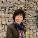 진천군립도서관 이미지