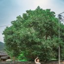 승산경로당 이미지