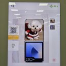 롯데마트 성정점 이미지