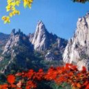 팔월 Daum카페