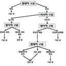 종의 개념과 식물 분류 이미지