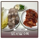 참 진담