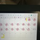 꽃차만들기 / 강좌번호17 | [시원스쿨 영어회화인강]3주차 후기- 한국인들이 영어가 늘지 않는 이유