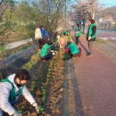 탕정면 삼성로 이미지