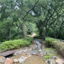 선정공원