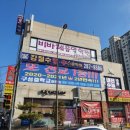 강철수영수학원