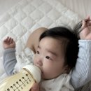 안월선 민박 코리아, 제주 이미지