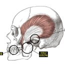 아름턱한의원 이미지