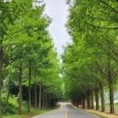 무진장축협 하나로마트 이미지