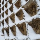 2019-주091 이미지