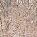 싸리하우스 이미지