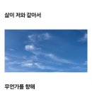 하이쿠의 나라 일본의 유명한 컨트리 클럽에 상설로 전시된 황윤현 시인의 작품 이미지
