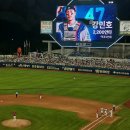 예주고을작은도서관 | 삼성 라이온즈 달빛시리즈 1,3차전 직관 후기(feat. 완벽하게 멀어진 가을 야구)