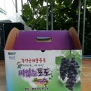 포도상자 이미지