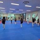 장광재 박사 태권도 이미지