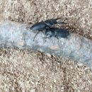 군포시청어린이집 이미지