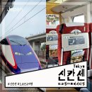 도쿄역에서 오이시다역 긴잔온천가는 신칸센 츠바사 탑승 후기 캐리어 TIP